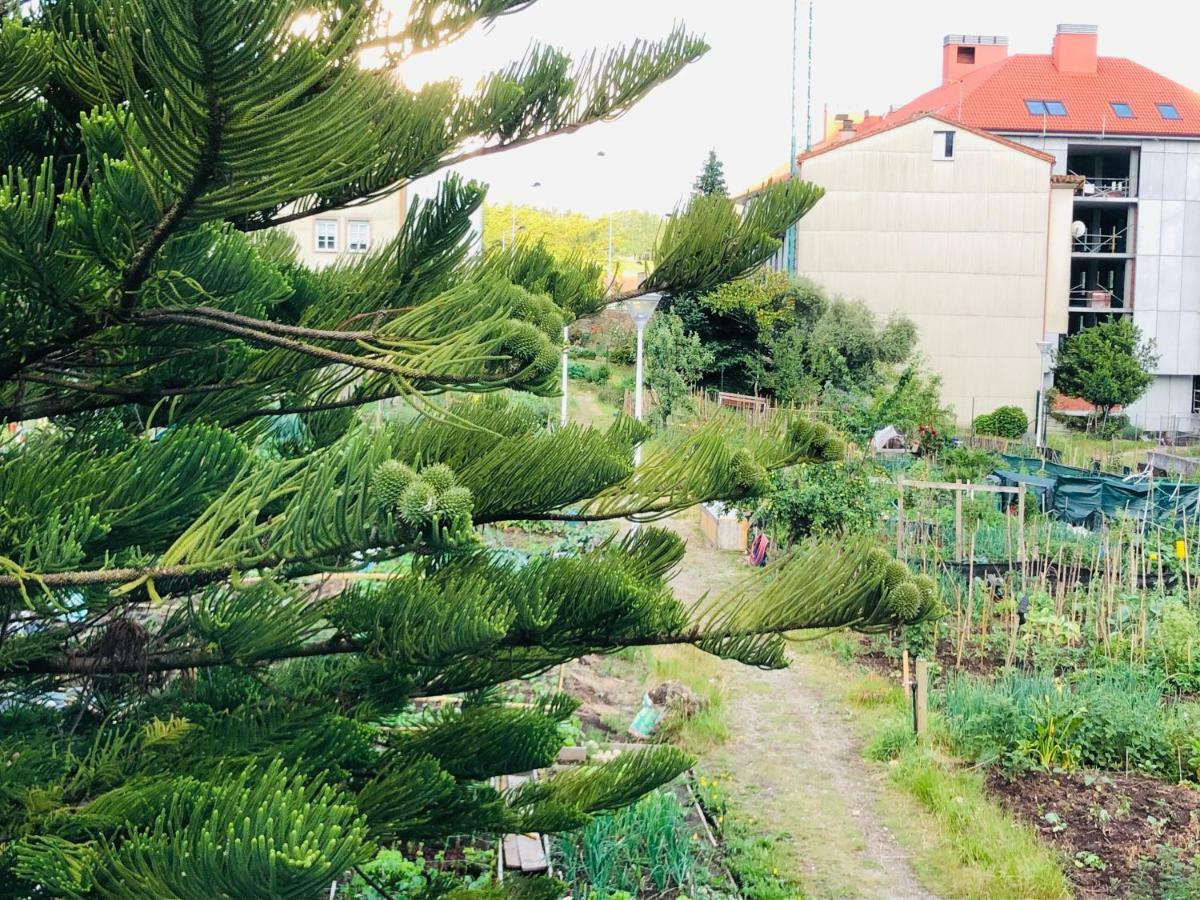 Albergue Sixtos No Caminho Σαντιάγο ντε Κομποστέλα Εξωτερικό φωτογραφία